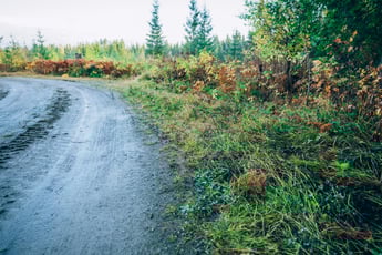 IIlsbo_resultat_2020_6