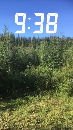 Før1